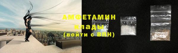 амф Алзамай