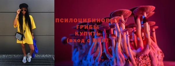 PSILOCYBIN Алексеевка