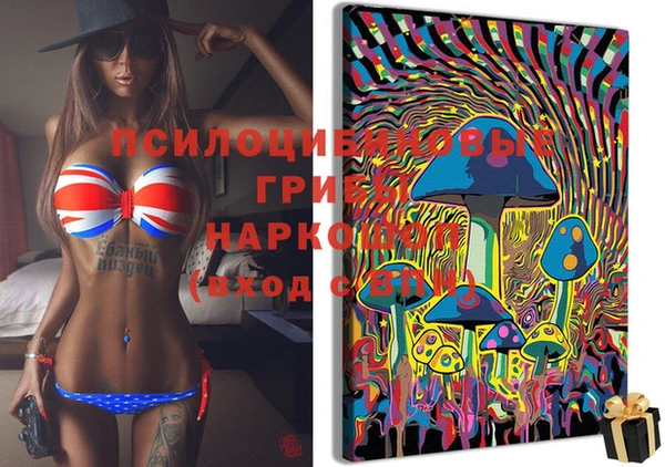 PSILOCYBIN Алексеевка