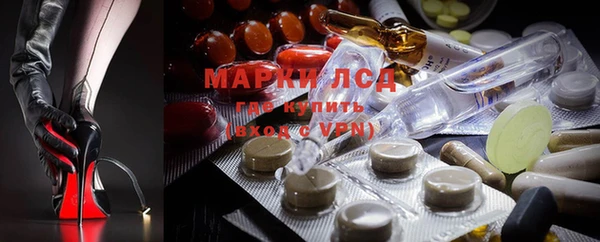 PSILOCYBIN Алексеевка