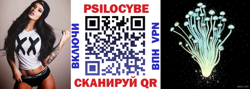 Псилоцибиновые грибы мицелий  где можно купить   Каргат 